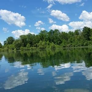 Meet your Posher, Scott